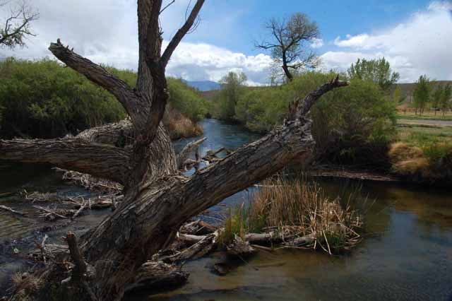 the Owens River